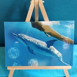 NEW Designer “I Am Dolphin” Ocean Photography!